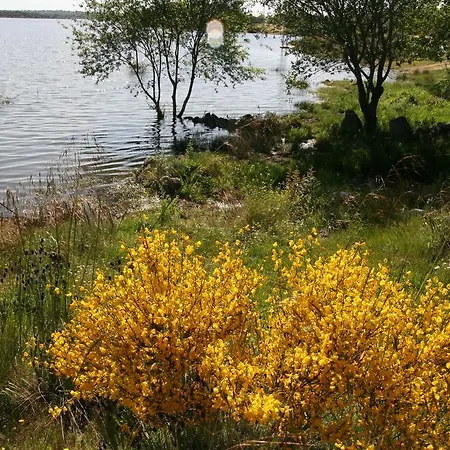 Hotel La Casa Del Gallo *