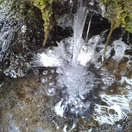 La Casa Del Gallo Almeida de Sayago