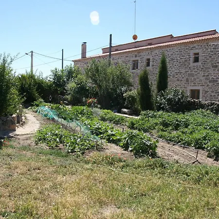 La Casa Del Gallo *