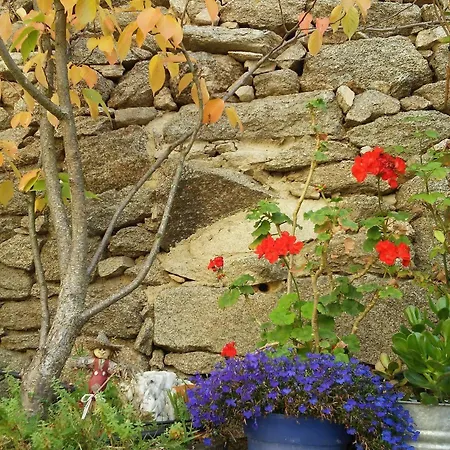 La Casa Del Gallo * Almeida de Sayago