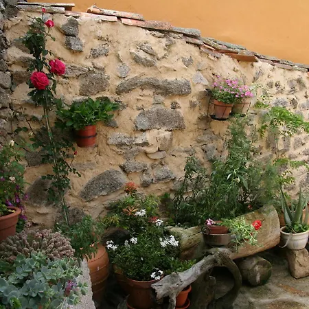 La Casa Del Gallo *