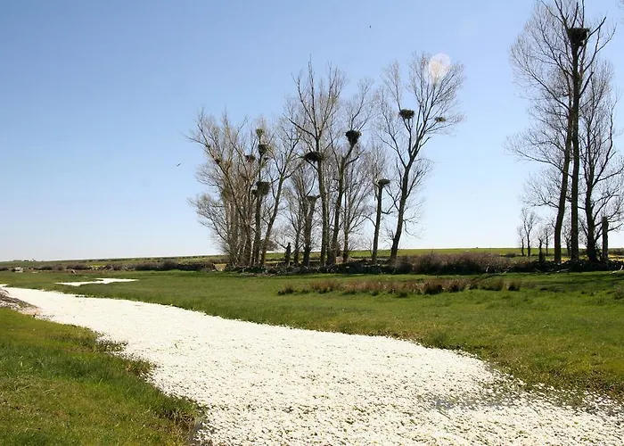La Casa Del Gallo Szálloda Almeida de Sayago