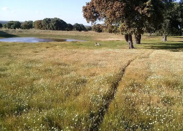La Casa Del Gallo Almeida de Sayago