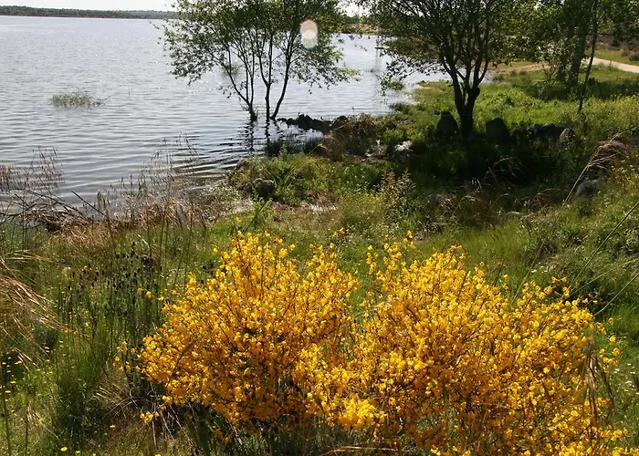 Szálloda La Casa Del Gallo *