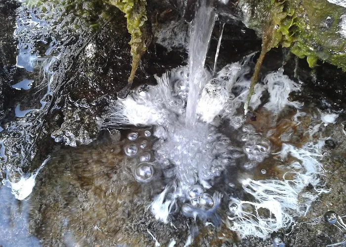 La Casa Del Gallo Almeida de Sayago