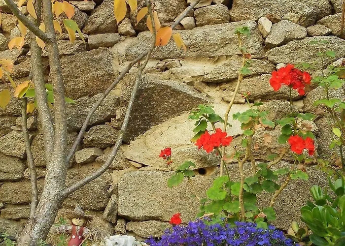 La Casa Del Gallo * Almeida de Sayago